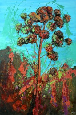 Flora Mirabilis cactus 5